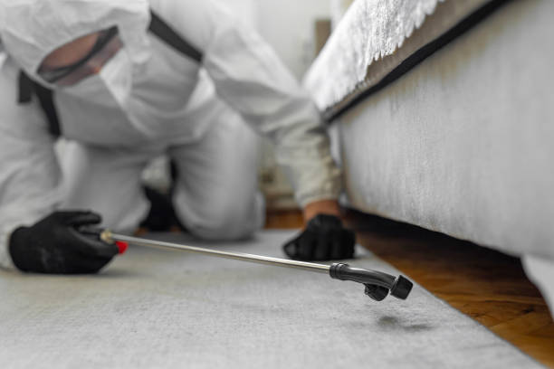 Professional Termite Control technician working in Robersonville, NC