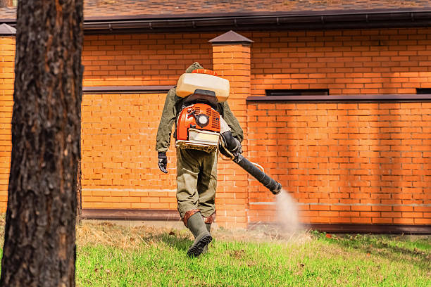Top rated local Termite Control specialists in Robersonville, NC